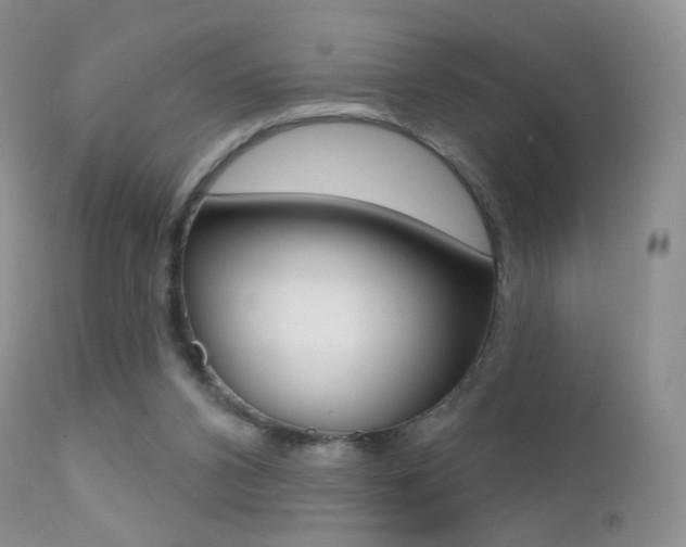 X0000113200112200909100931