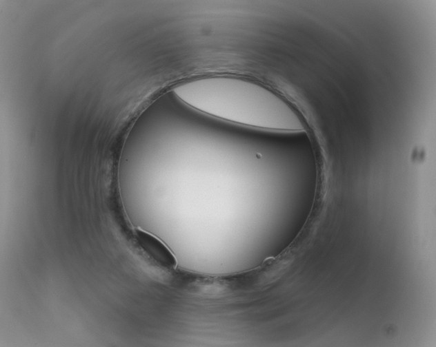 X0000113200113200909100931