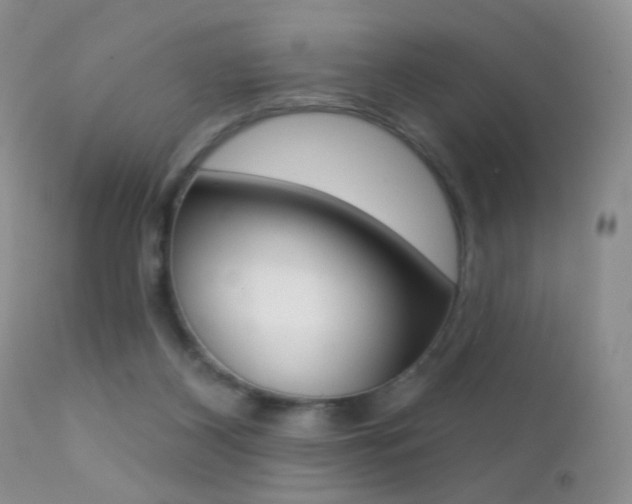 X0000113200116200909100931