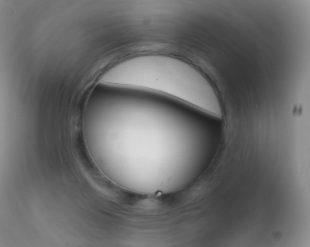 X0000113200119200909100931