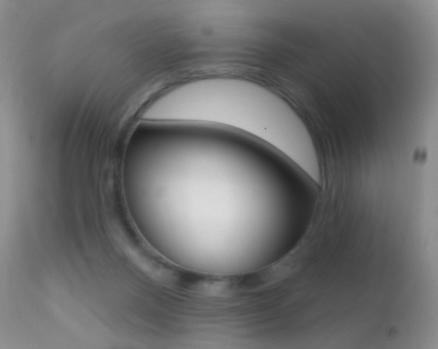 X0000113200120200909100931