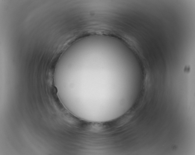 X0000113200121200909100931