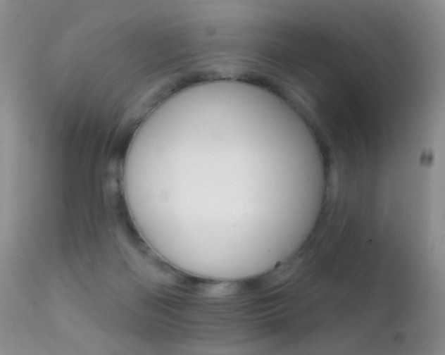 X0000113200122200909100931