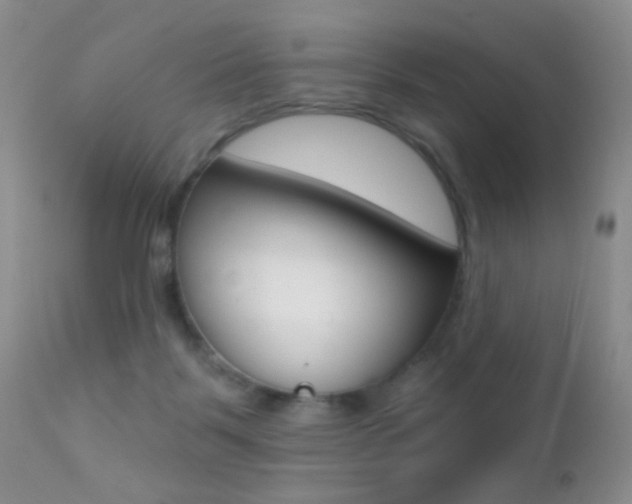 X0000113200123200909100931