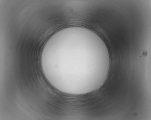 X0000113200124200909100931