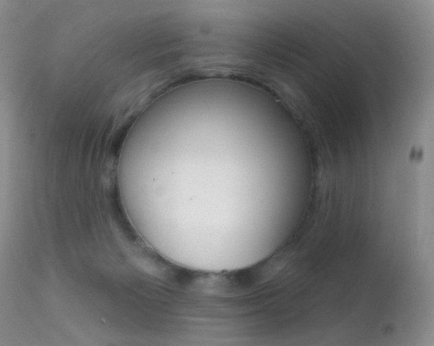 X0000113200125200909100931