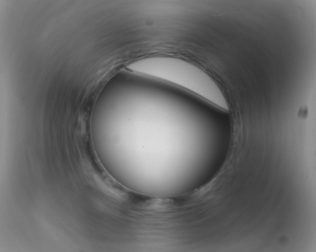 X0000113200128200909100931