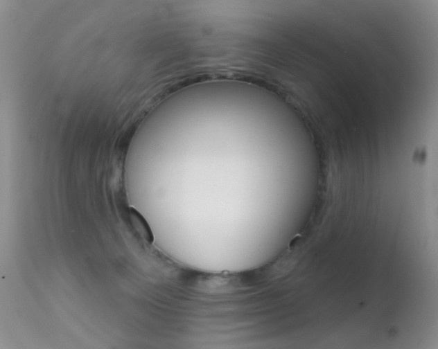 X0000113200129200909100931