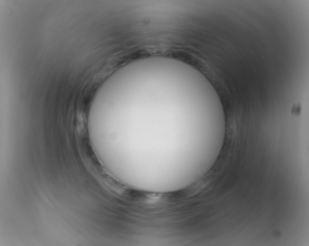 X0000113200130200909100931