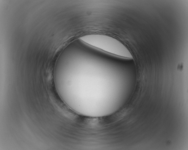 X0000113200131200909100931