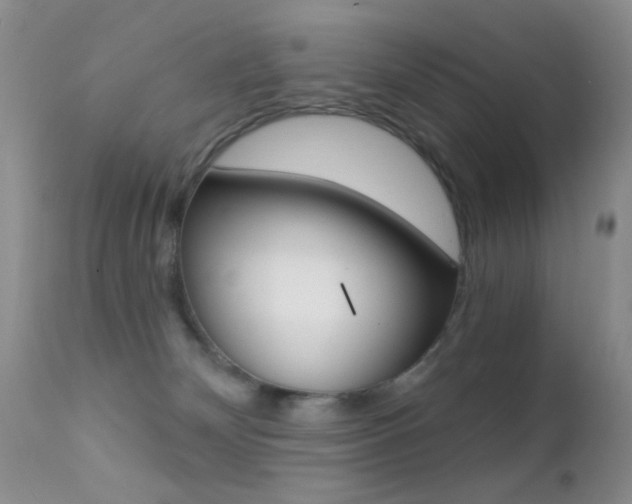 X0000113200132200909100931