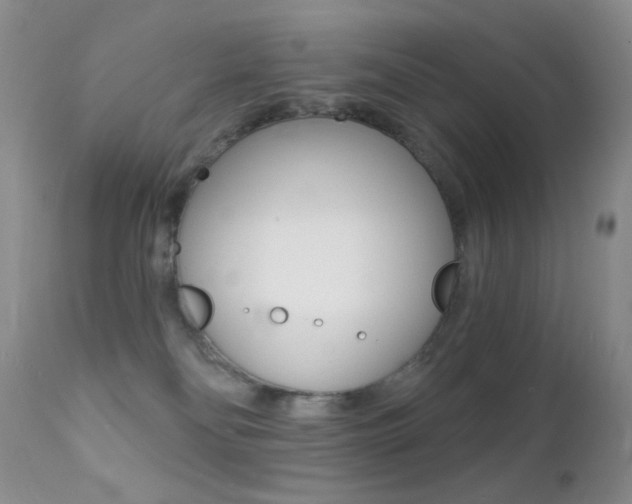 X0000113200134200909100931