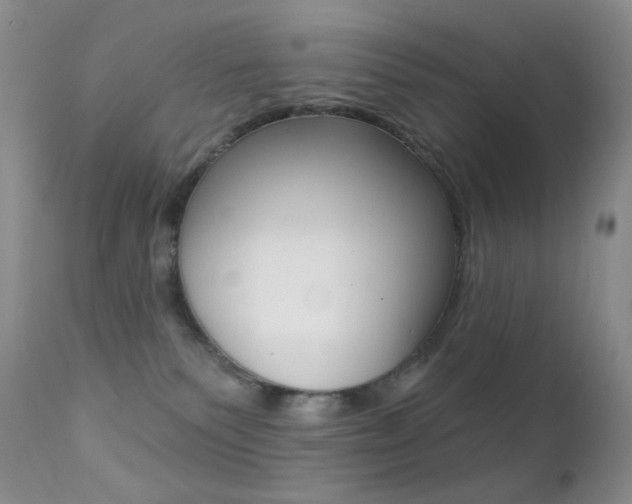 X0000113200135200909100931