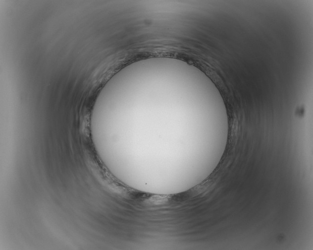 X0000113200138200909100931