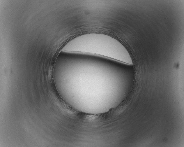 X0000113200139200909100931