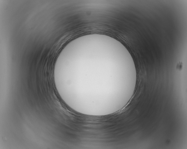 X0000113200140200909100931