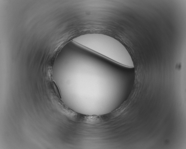 X0000113200141200909100931