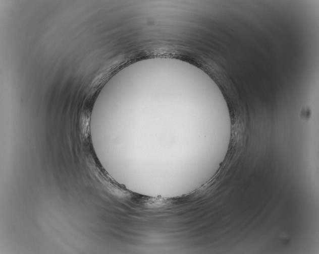 X0000113200142200909100931