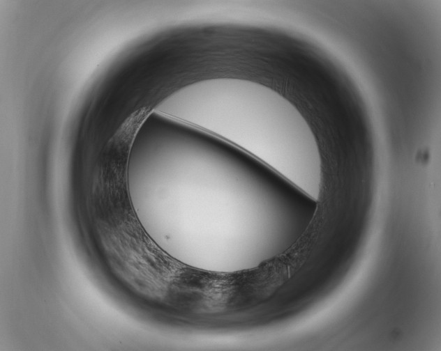 X0000113200143200909100931