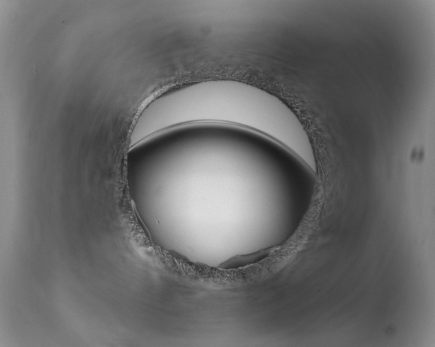 X0000113200144200909100931