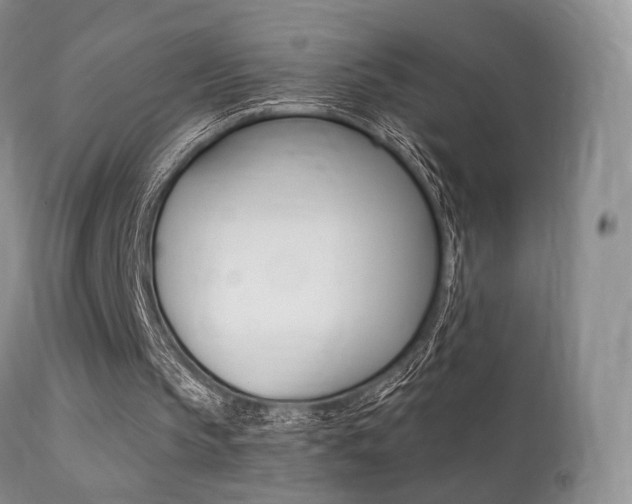 X0000113200145200909100930