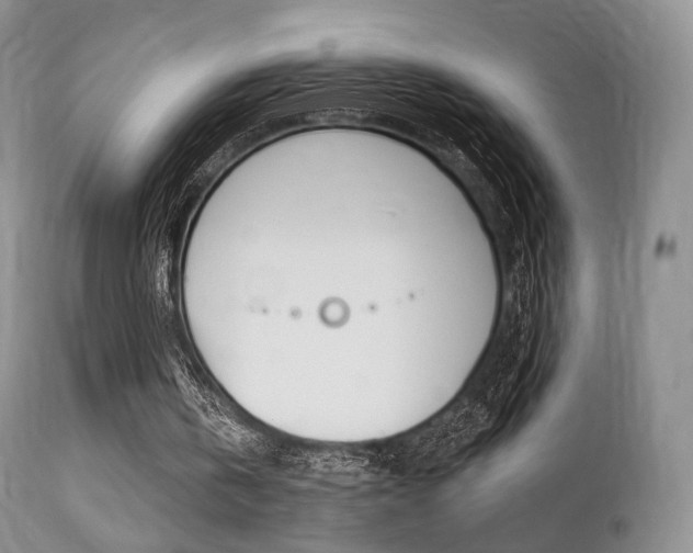 X0000113200146200909100930