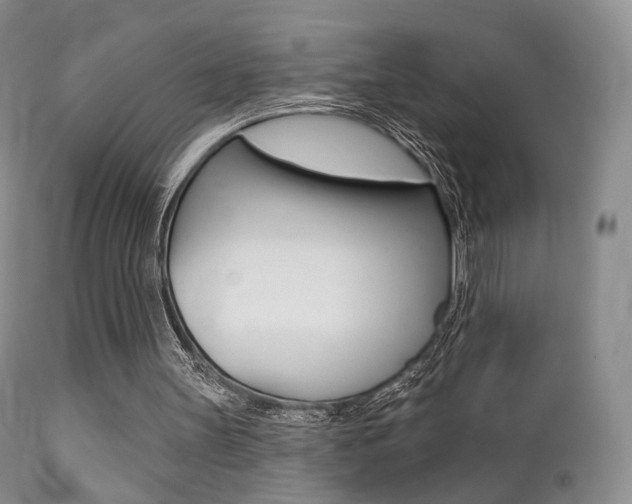 X0000113200147200909100930