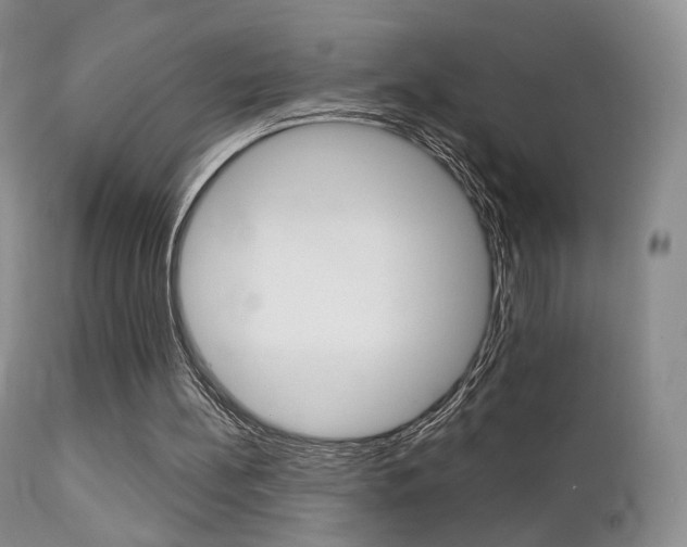 X0000113200148200909100930