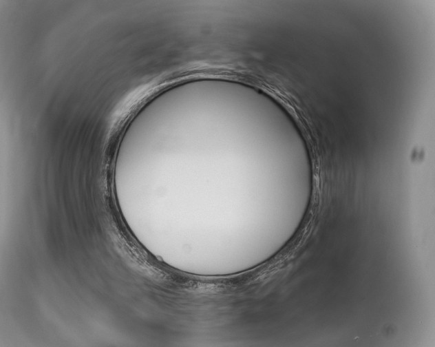 X0000113200149200909100930