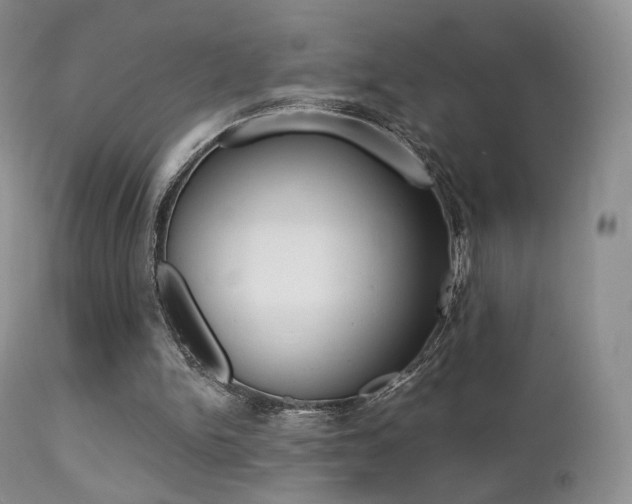 X0000113200150200909100930