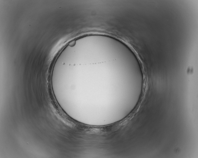 X0000113200151200909100930