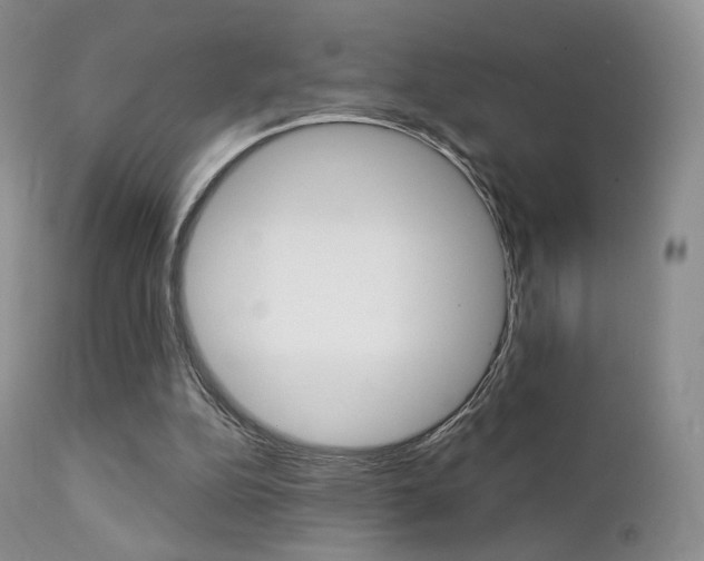 X0000113200152200909100930