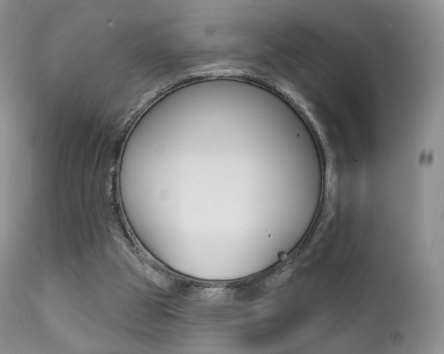 X0000113200153200909100930