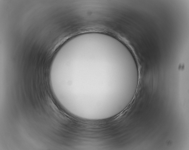 X0000113200154200909100930
