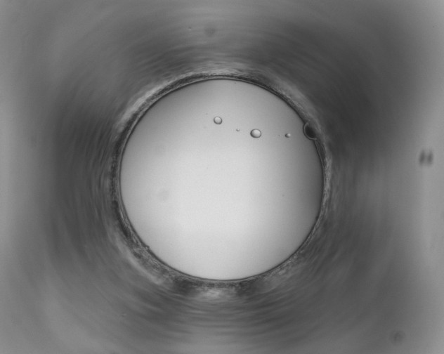 X0000113200155200909100930