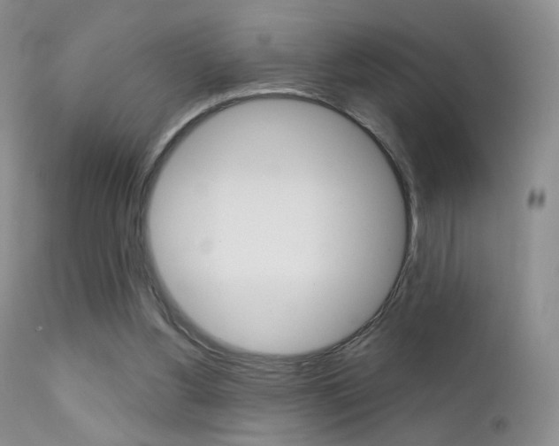 X0000113200156200909100930