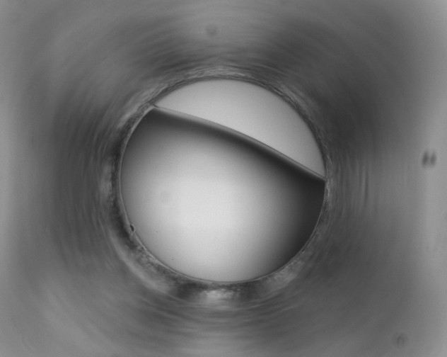 X0000113200158200909100930