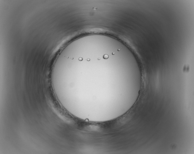 X0000113200159200909100930