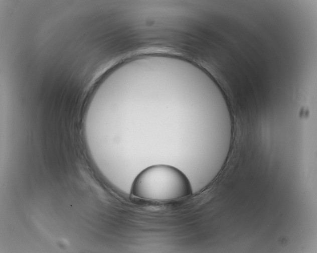X0000113200160200909100930