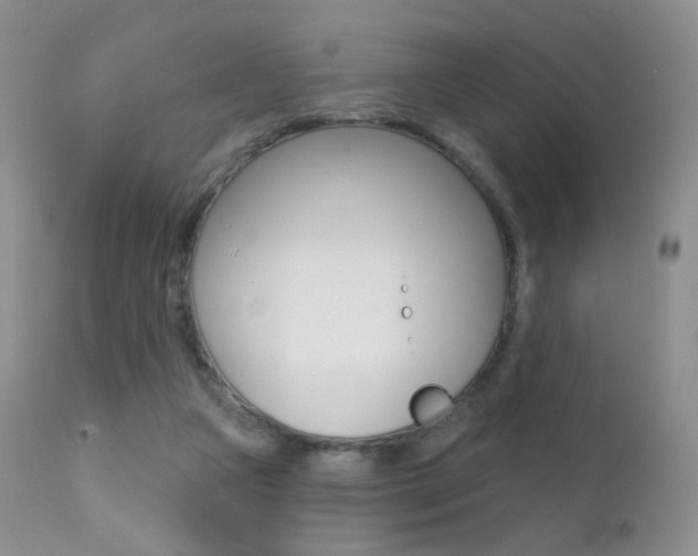 X0000113200161200909100930