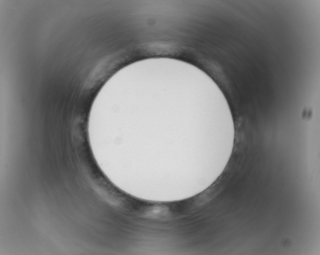 X0000113200162200909100930