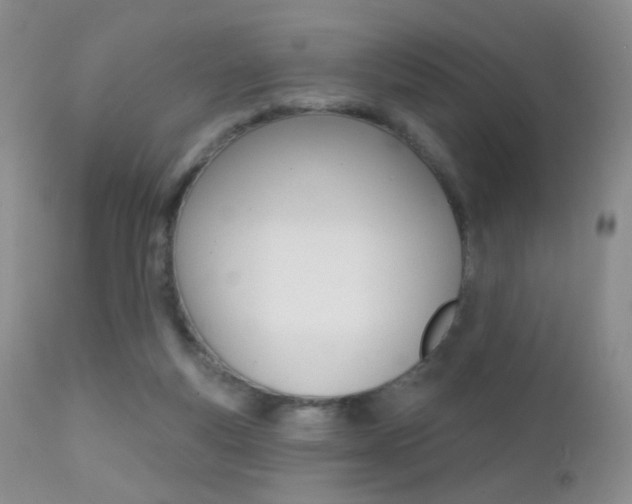 X0000113200163200909100930