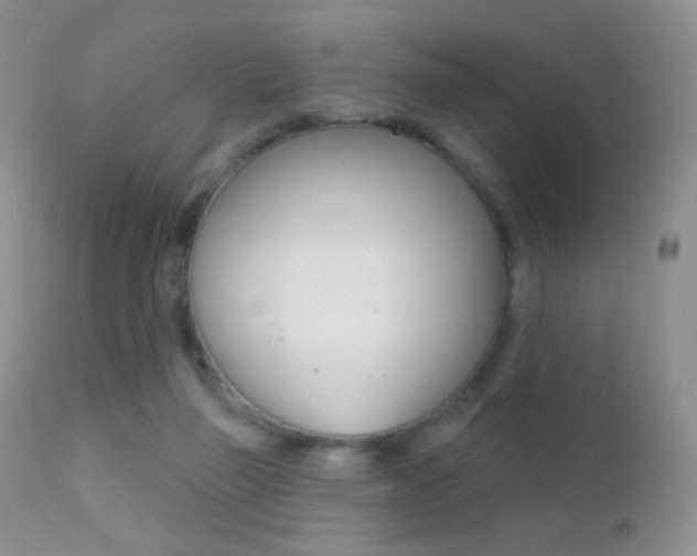 X0000113200165200909100930