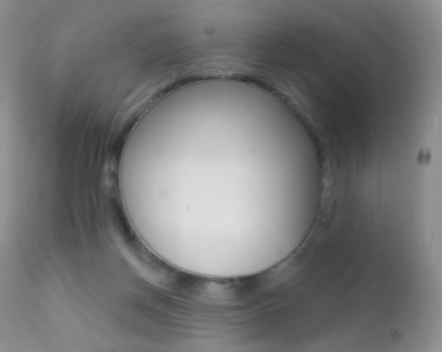 X0000113200166200909100930