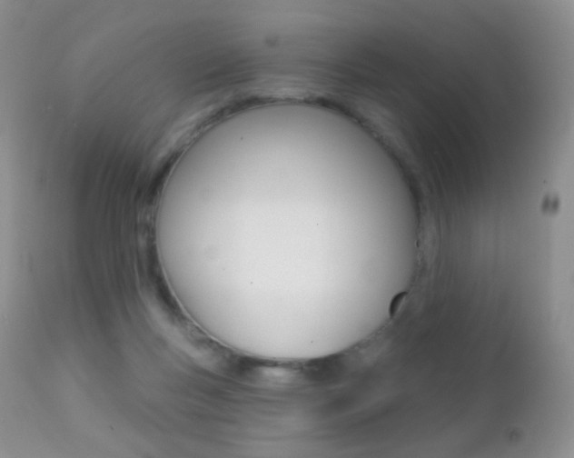 X0000113200167200909100930