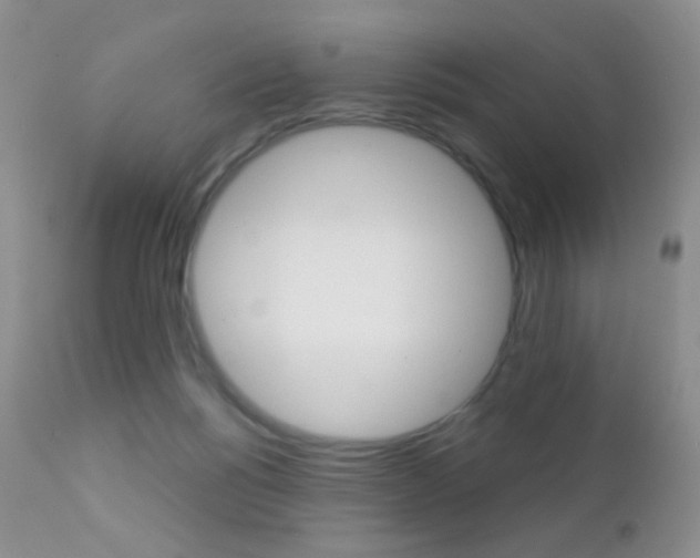X0000113200168200909100930