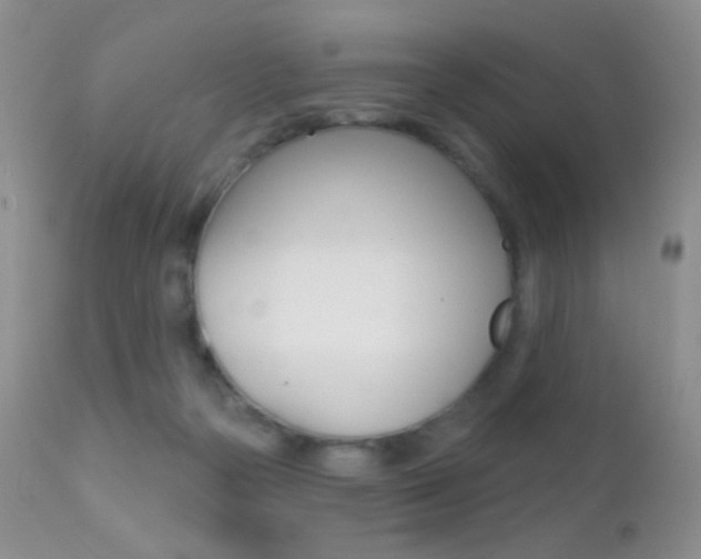 X0000113200169200909100930