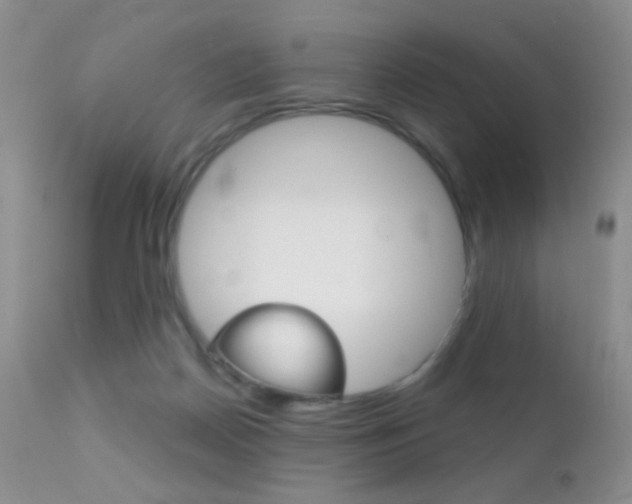 X0000113200170200909100930