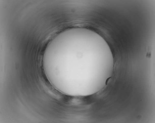 X0000113200171200909100930