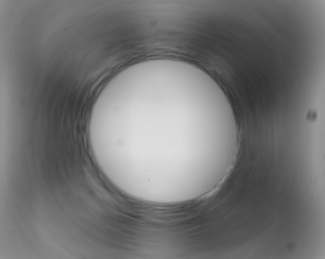 X0000113200174200909100930